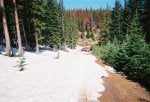 #1 - My private road mid June 2009 and my loaded Ford truck.jpg