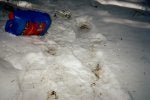 47 - Empty anti-freeze jug & bear tracks.jpg