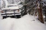 52 - After first big snow storm - I slept and stayed inside this truck for five days - Much more.jpg