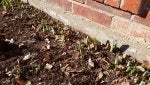 20200106_102953.jpg
