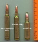300 WSM & FAMILY named.jpg